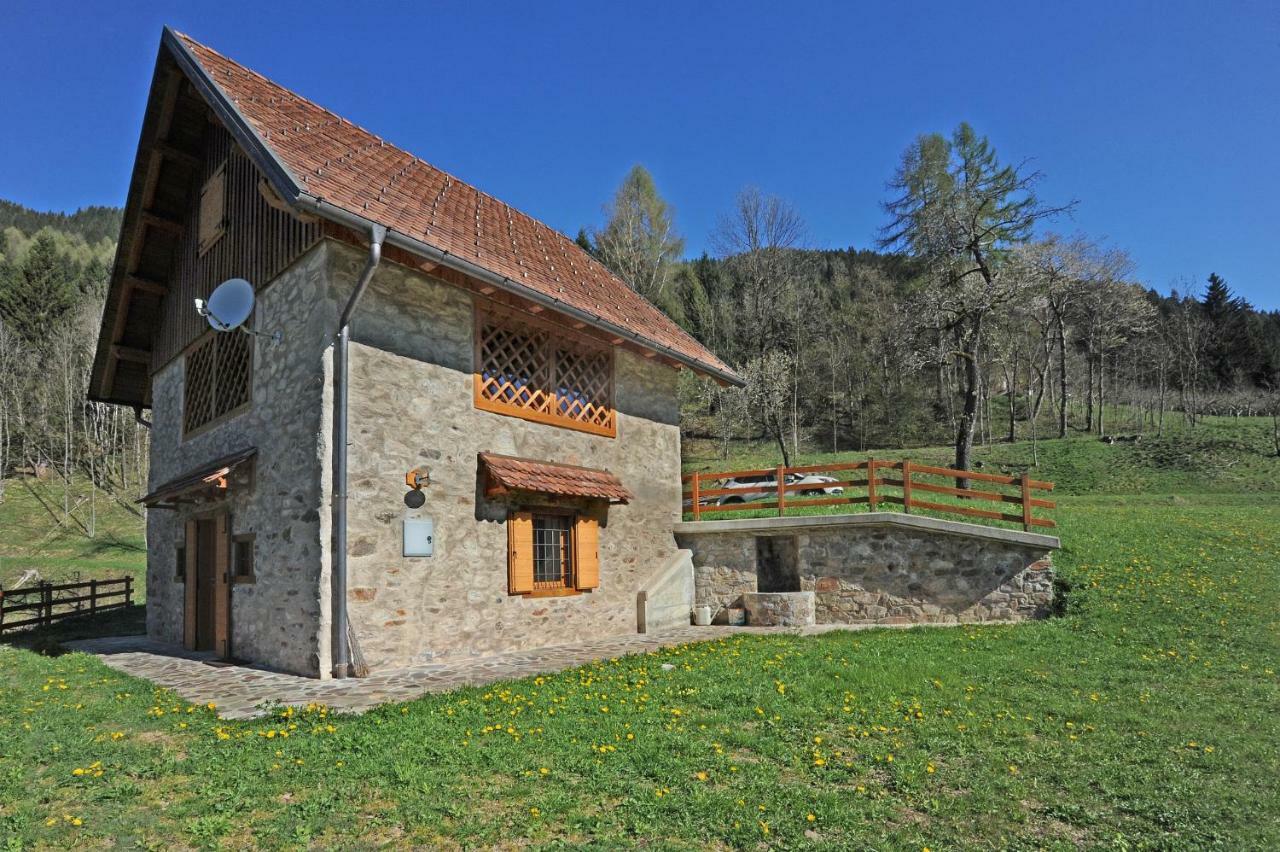 Holiday home Diffuso Ravascletto